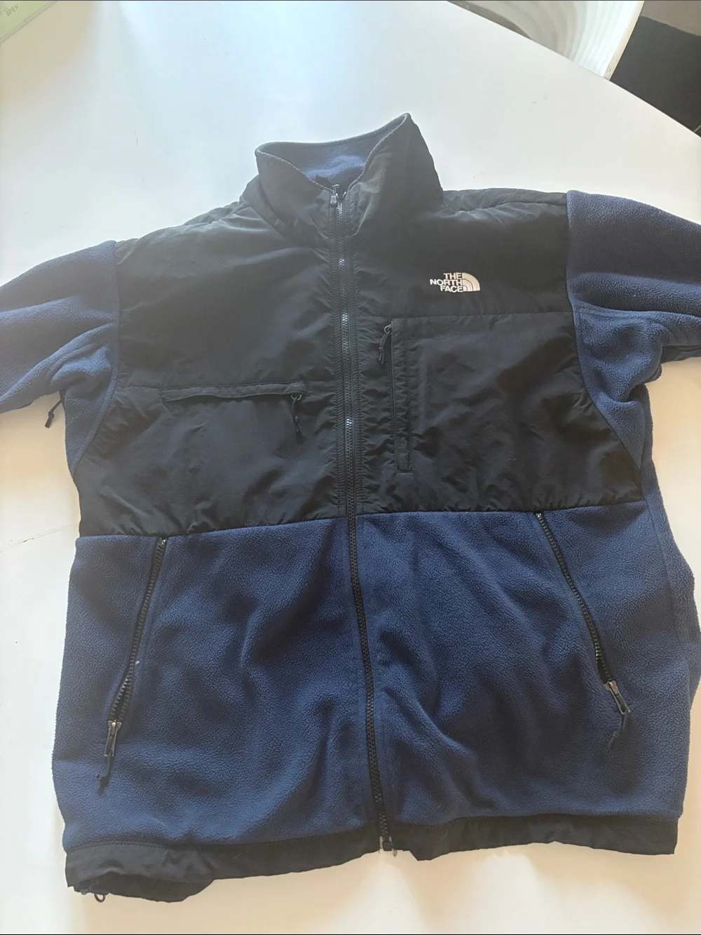 The North Face classic men